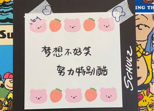 一个女孩的美丽之旅