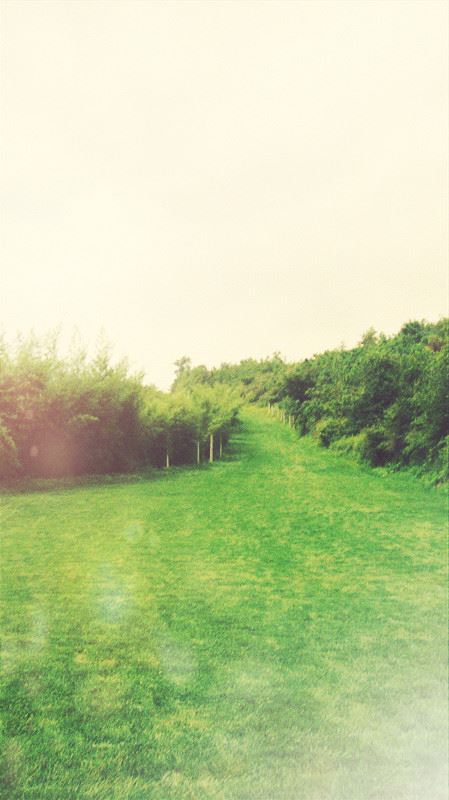 中秋节的传统风俗