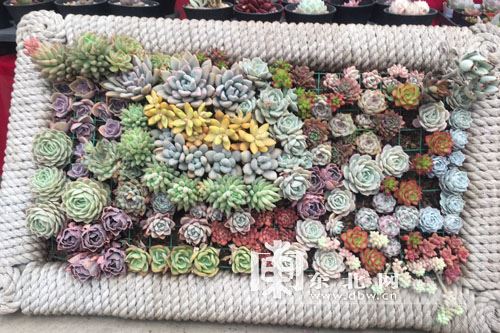 打败自己的不是过错是选择！