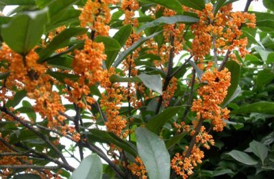 永不言败，做生活的强者