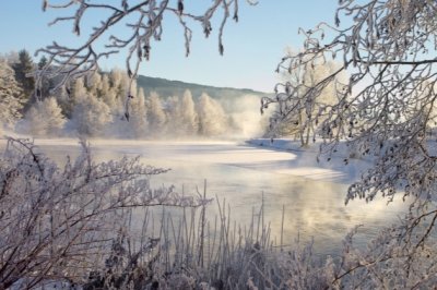 紧张刺激的运动会