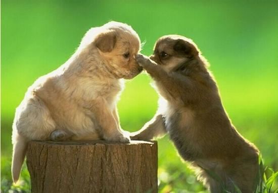 因为钱,我和同住一屋檐下的大嫂形同陌路