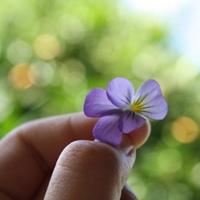 以感悟为师,追求卓越的成长之路