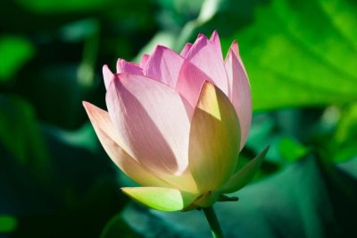 一杯酒，一场情缘