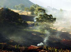 幽默笑话《神回复：不吃晚饭》