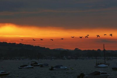 坚定信念，勇敢前行