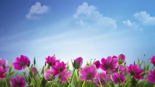 这个夏天想起了你!!