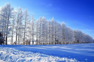 从未有过的经历