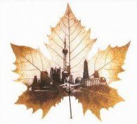 历史故事《范进中举后,能当什么级别的官》