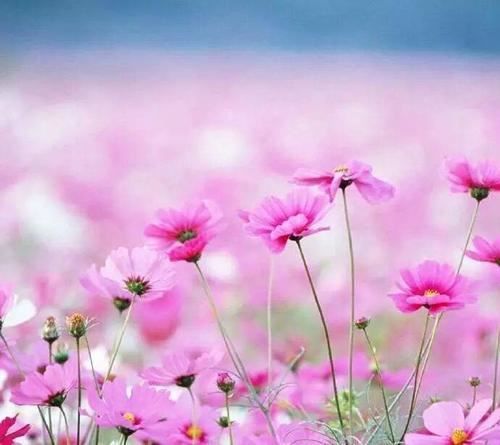 女儿,在你长大以前