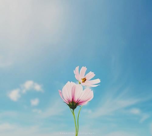 珍爱回忆的力量