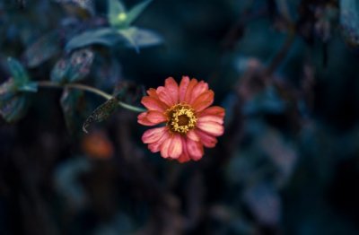 人生要学会宽容,珍惜你认为的幸福