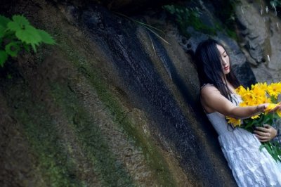 年轻时你想砍哪棵树