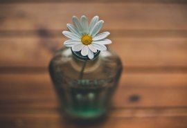 《广州艳芳照相馆》