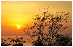 那年夏天,我们说再见