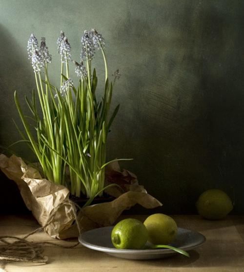 父亲节特别的礼物