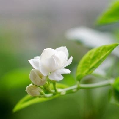 从挫败到成功，从迷茫到清晰