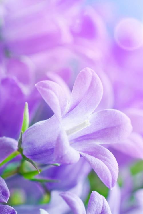 依然放不下的你……