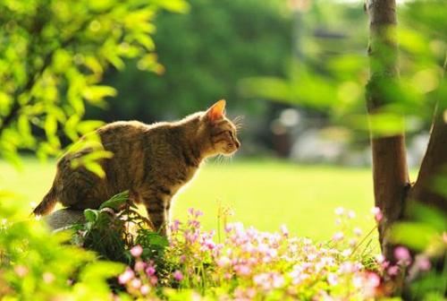 人生是一个充满悬念的故事