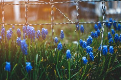 那些小小的惊喜