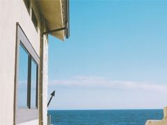 不在煎熬中爆发就在煎熬中死亡