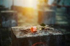 我在雨里，雨在窗外