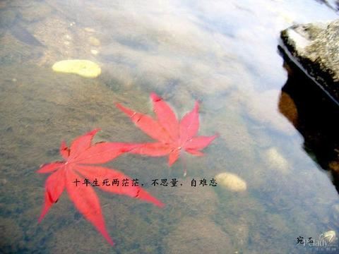 恩师浓情