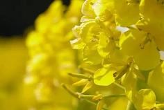 了解自己才会有好人缘