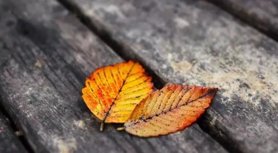 难忘那年冬至节