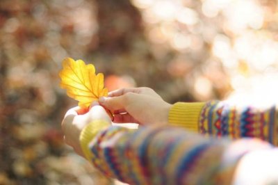 今生今世的感恩，来生来世的相续（鼎然）