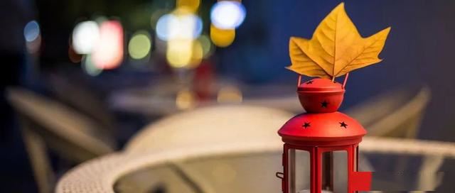 一个点赞，一个满怀感激的心——生活奋斗者的故事