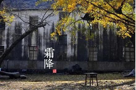 在岁月的洪流中寻找曾经的自己