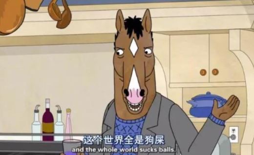 阳光下的人生