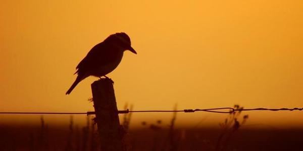 我爱我们的班级