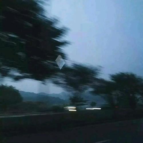 草心初露——小草的启示