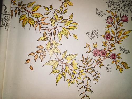 团圆的重要性——一个家庭的小故事