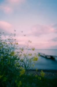 幽默笑话《诙段子：土味情话》