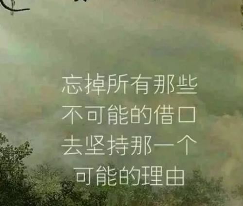 母亲的短信
