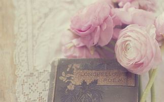 别让忧伤苍白了生命的色彩！