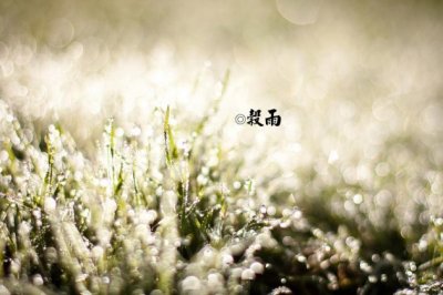 那些属于我的童年