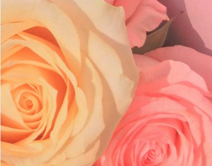 天使与魔鬼的爱