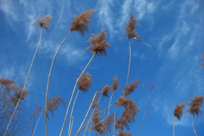 最初我确定被监控的事例