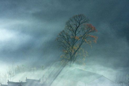 一个普通人的成长故事