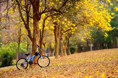 酷爱的，我想汇报你