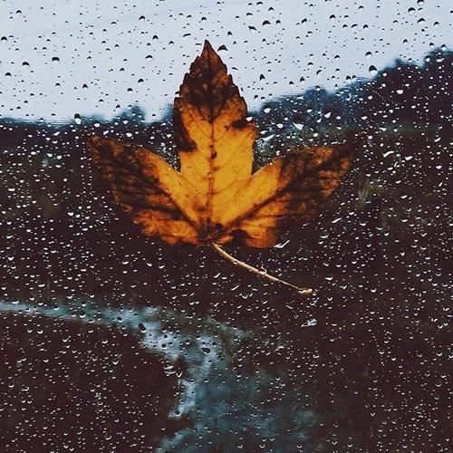 春节记忆----想的是家人,思念的是味道,聚少离别后的千言万语