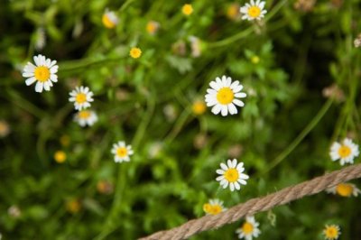 一个普通人生活中的深情厚谊