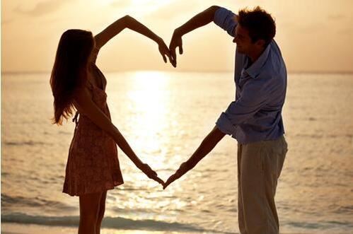 猪年迎新意象觅