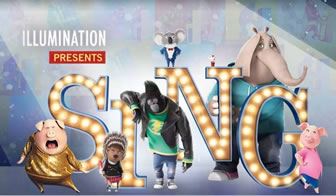 落叶何去,根在何方