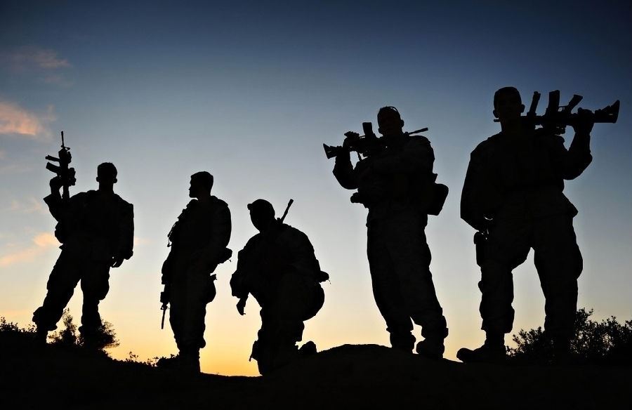 杨絮飘过，思念悠悠泛起波澜……