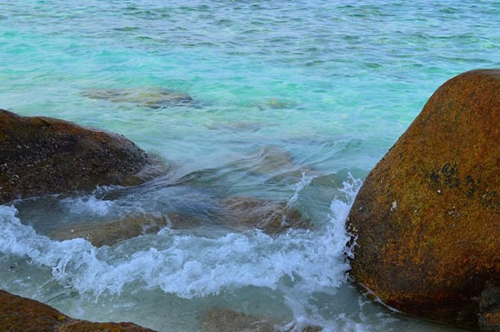 节日味道下的温暖流淌——一份节日礼物的故事